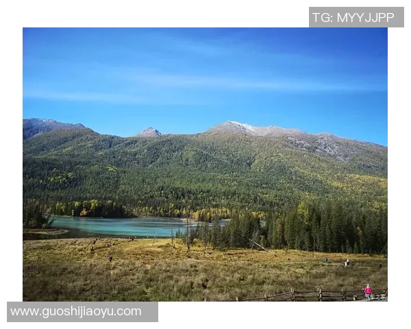 崔永熙：从普通青年到科技创新领军人物的奋斗历程与启示